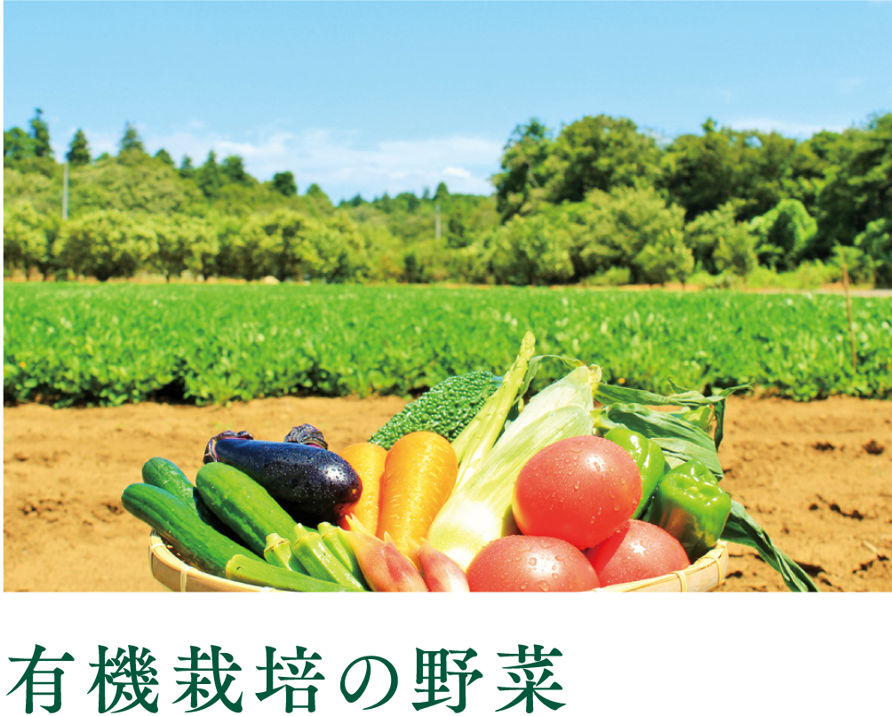 有機栽培の野菜